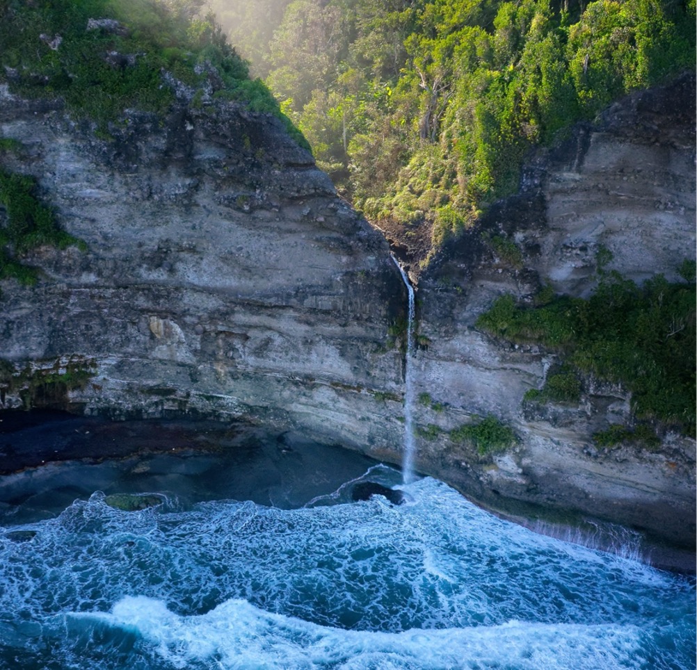 Dominica's volcanic rainforest landscape